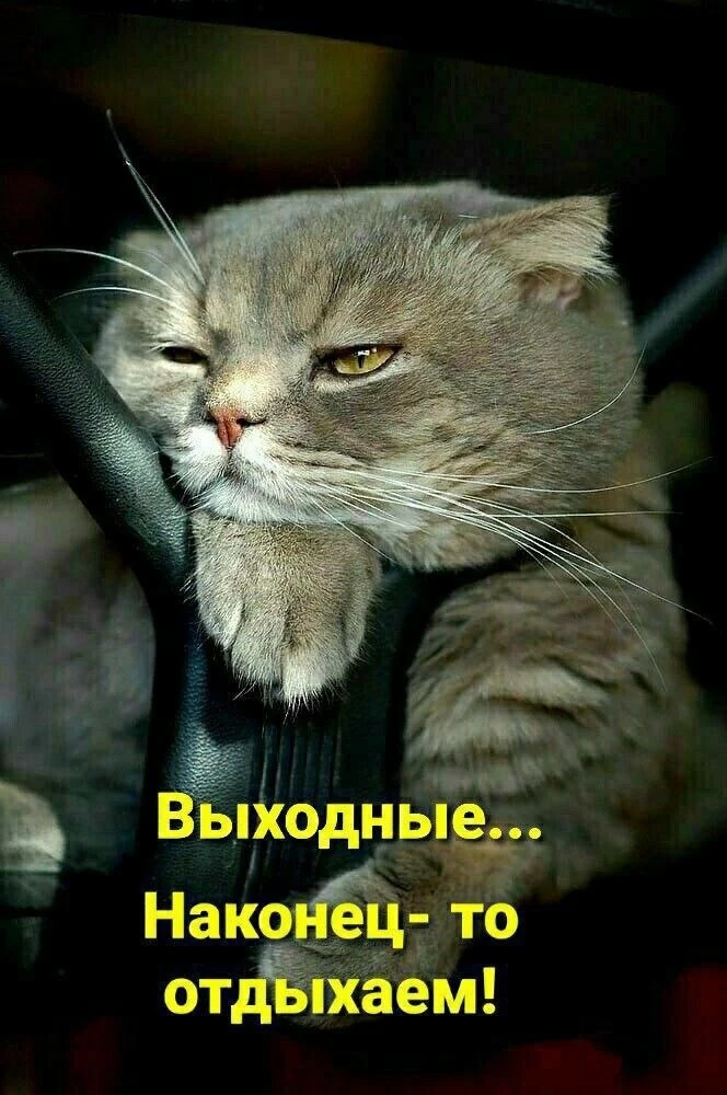 🎉С пятницей!