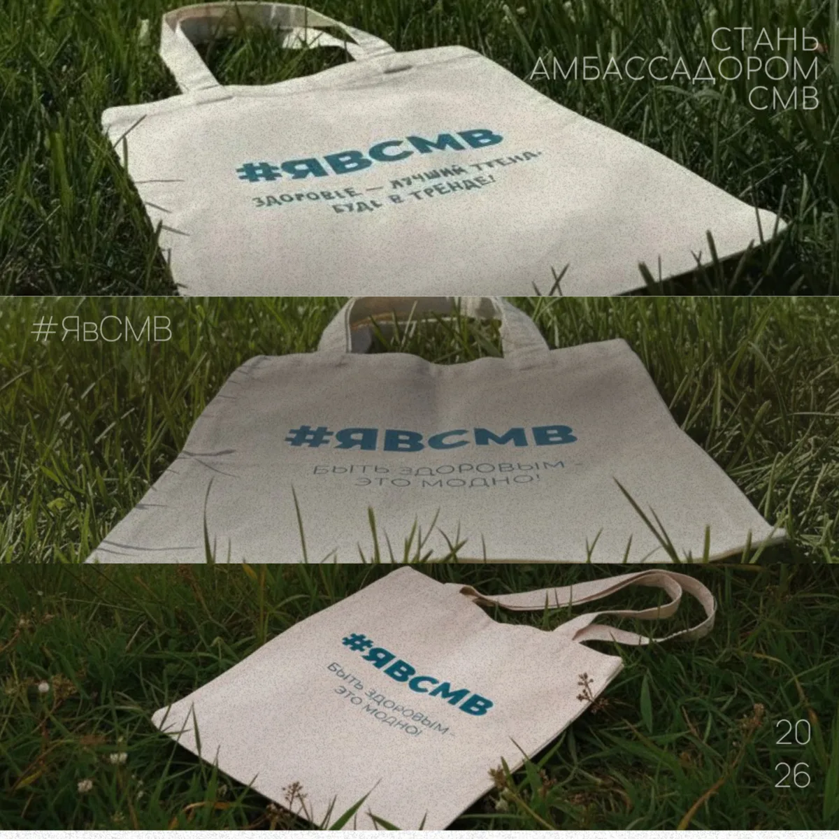 🔥 СТАНЬ АМБАССАДОРОМ СМВ!