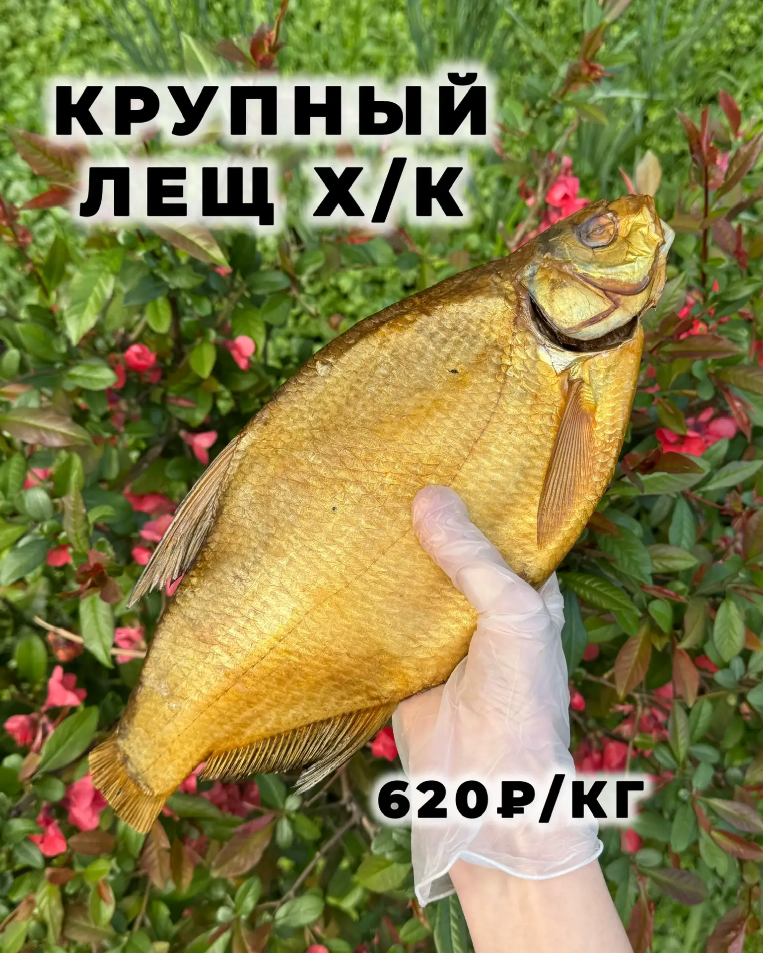 😍😍😍😍😍  К пятнице готовы‼️ Активно развозим по всем магазинам свежайших лещей и раков 😉  • Лещи крупн