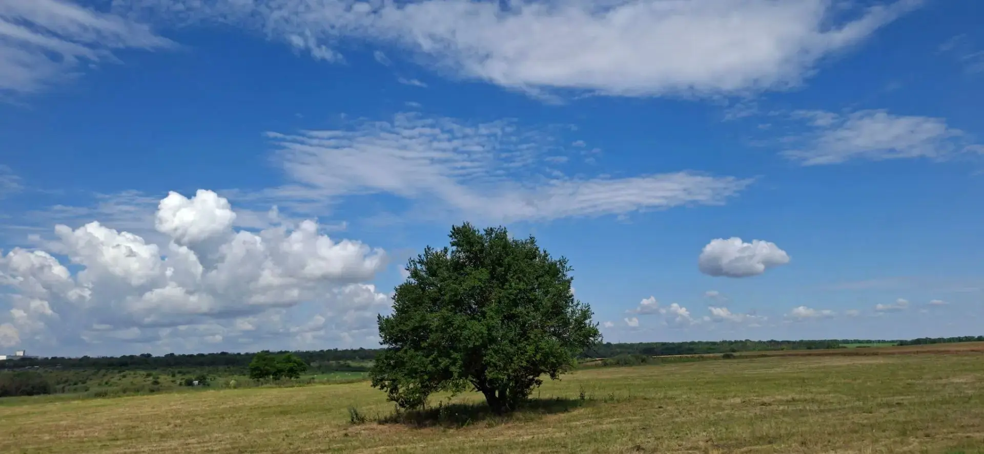 Доброе утро! ☀️