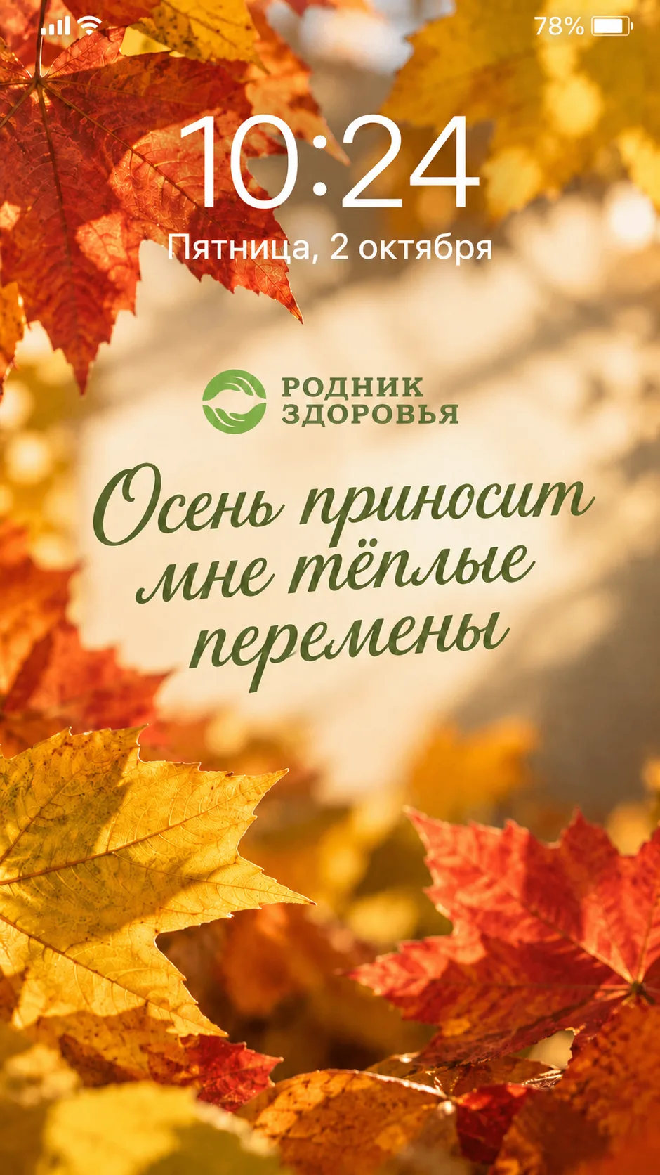 🍁 Порция осеннего настроения в наших заставках на телефон