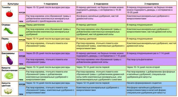 урожай своими руками