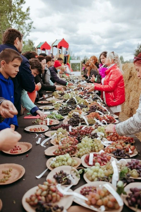 💥22 августа 2026 года с 10:00 до 14:00 в Садовом центре «Подсолнух» (пр-т Антонова, 10...