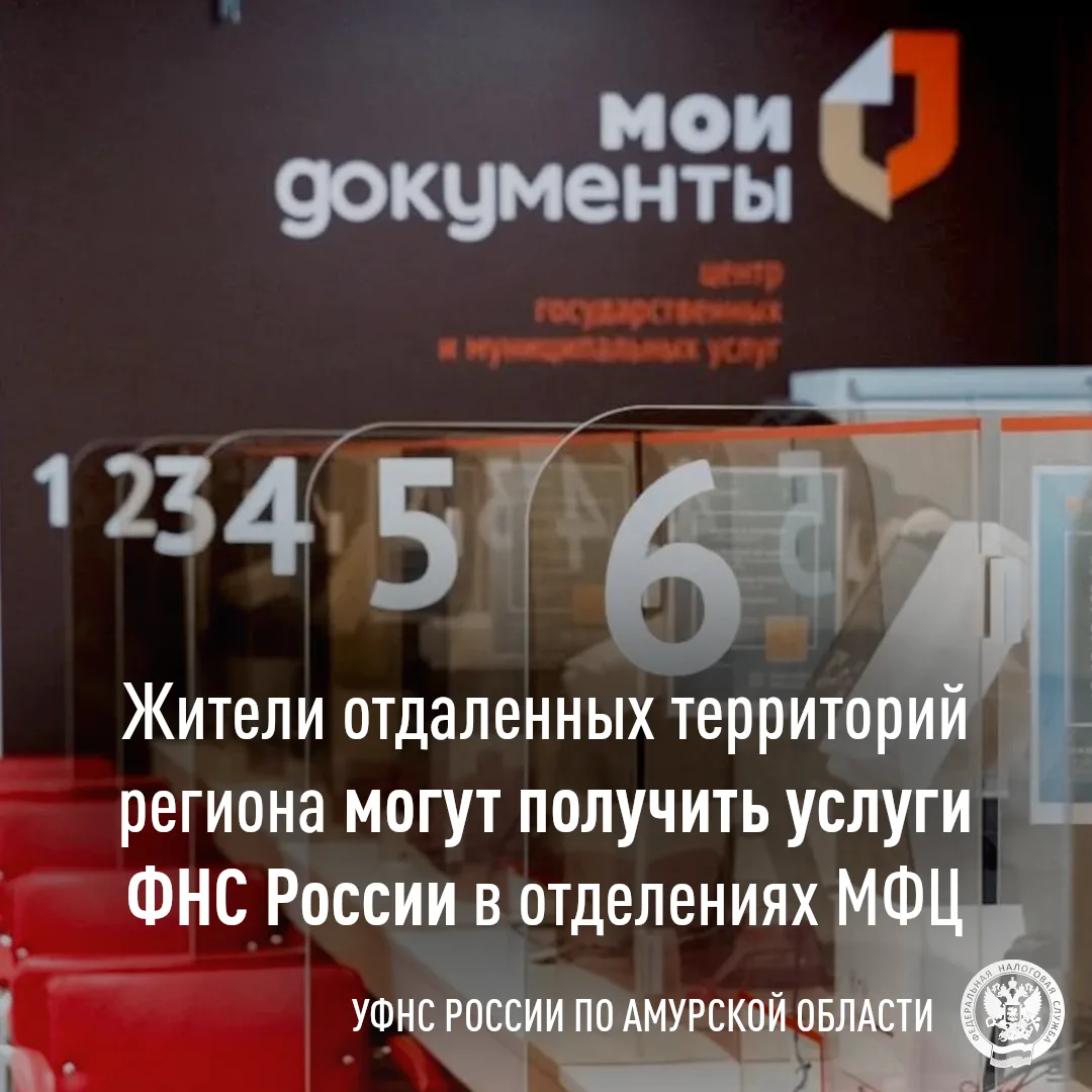 Налоговые услуги без дальних поездок: возможности МФЦ для жителей Амурской области