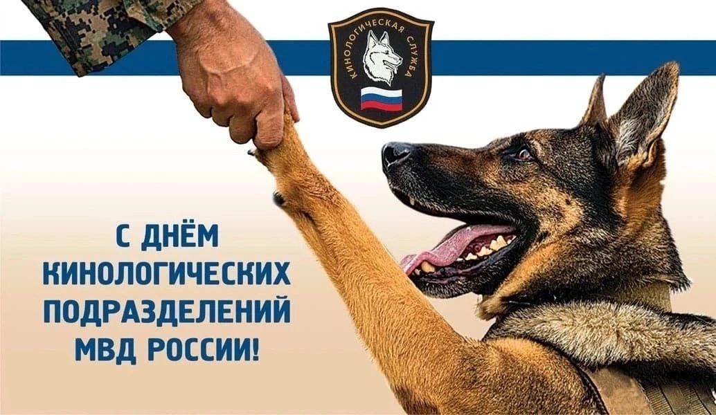 С праздником кинологи! 🤝

День кинологических подразделений МВД России (День кинолога) празднуется 