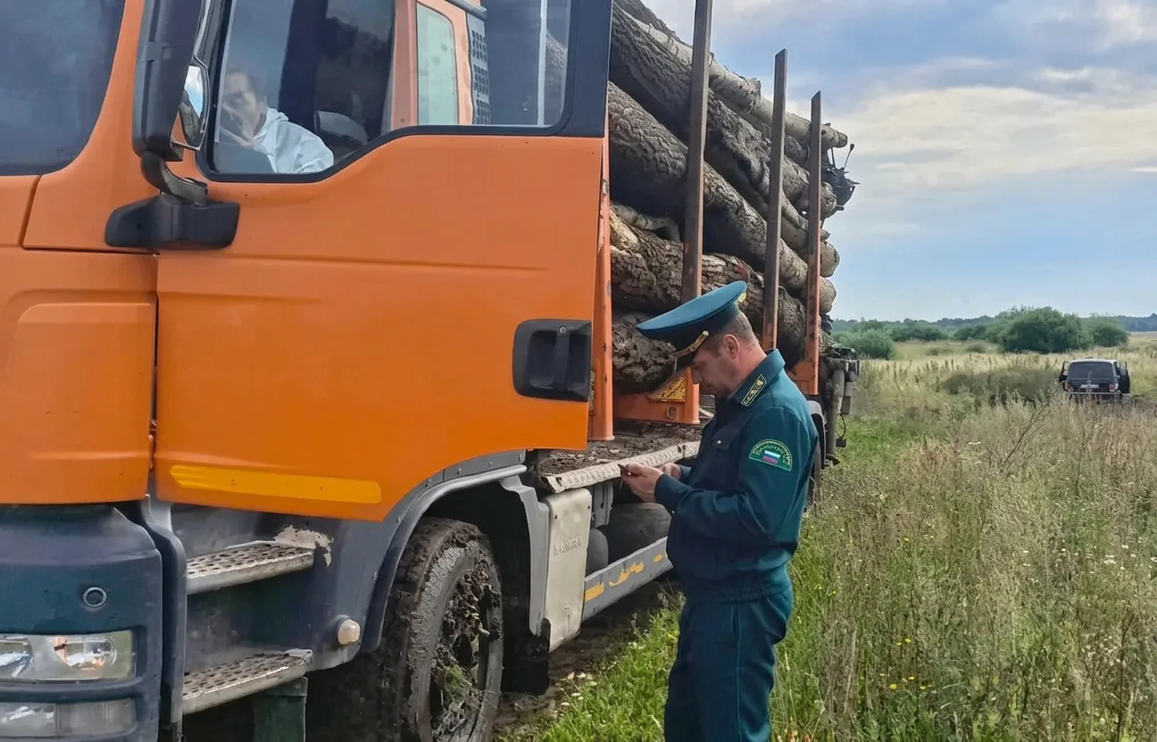 В Башкортостане количество незаконных рубок снизилось