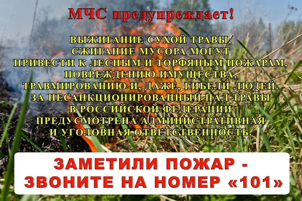 Палы сухой растительности: опасность и ответственность

Теплая погода и сход снежного покрова ежегод