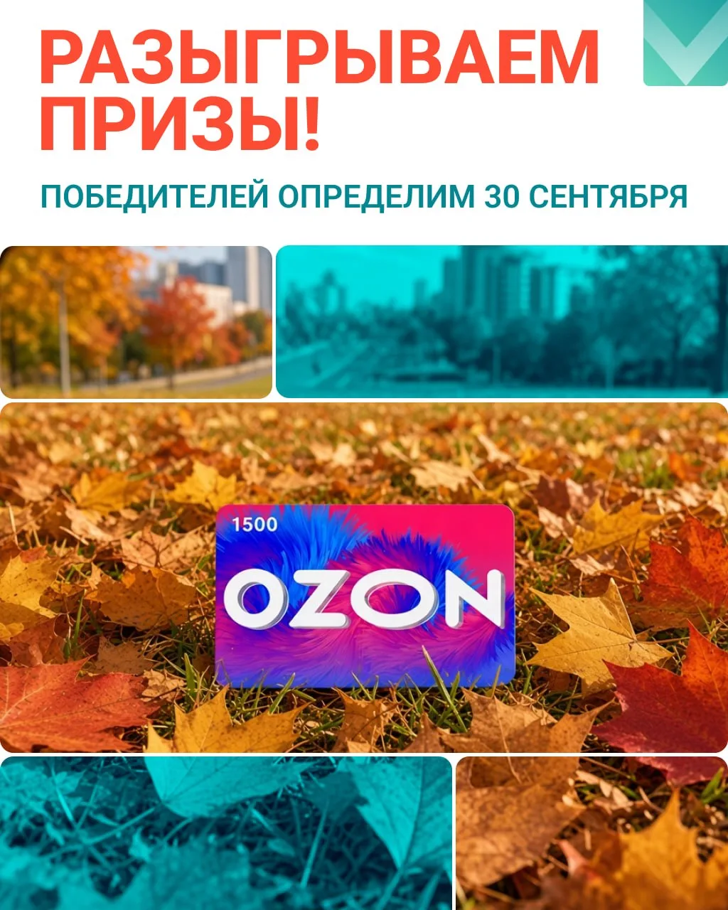 Разыгрываем призы! 🎁