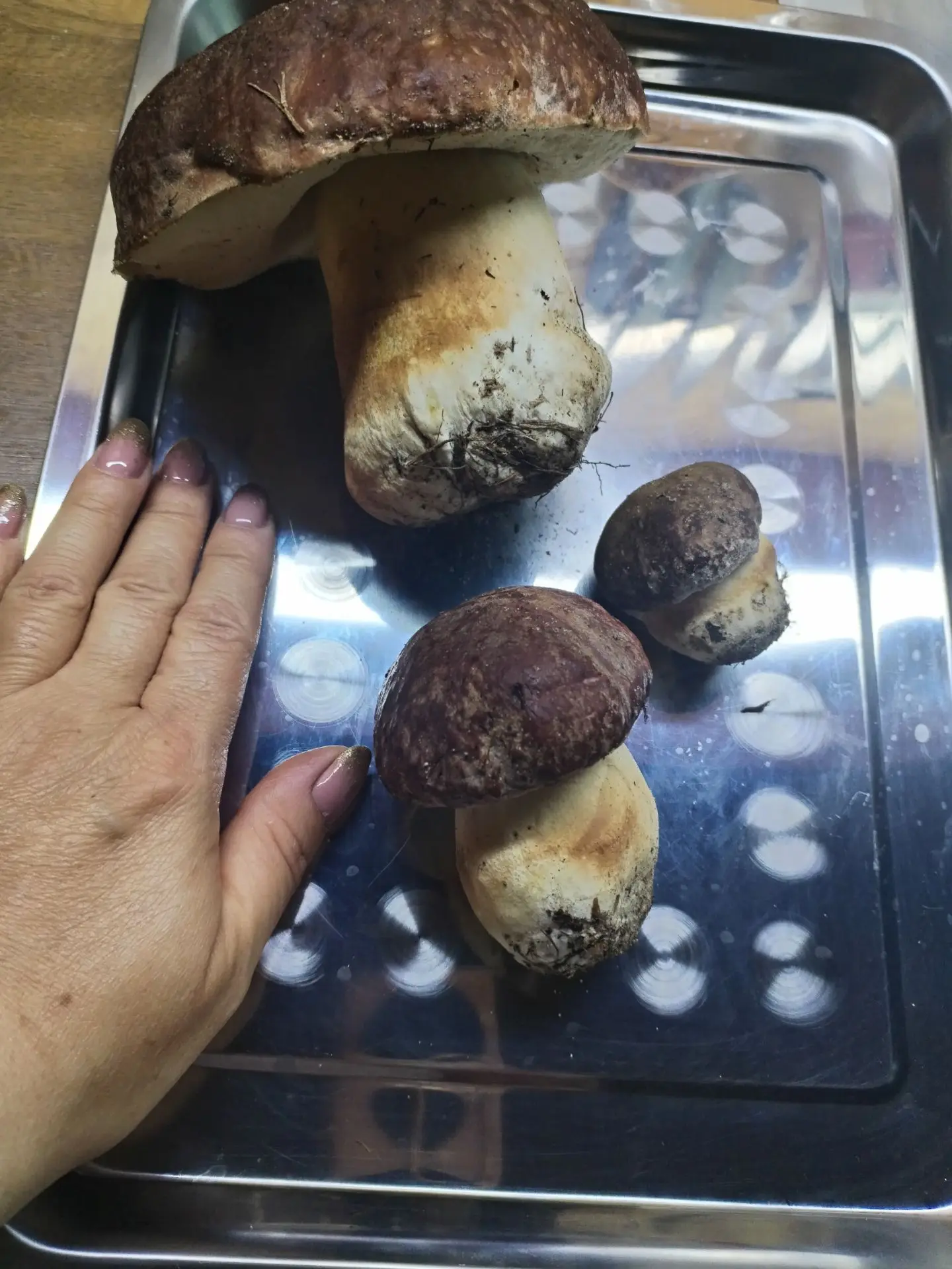 И снова утро доброе 🍄‍🟫🍄‍🟫🍄‍🟫