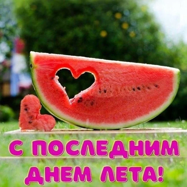 Вот и пришла осень, время, на которое летом откладывались все дела.