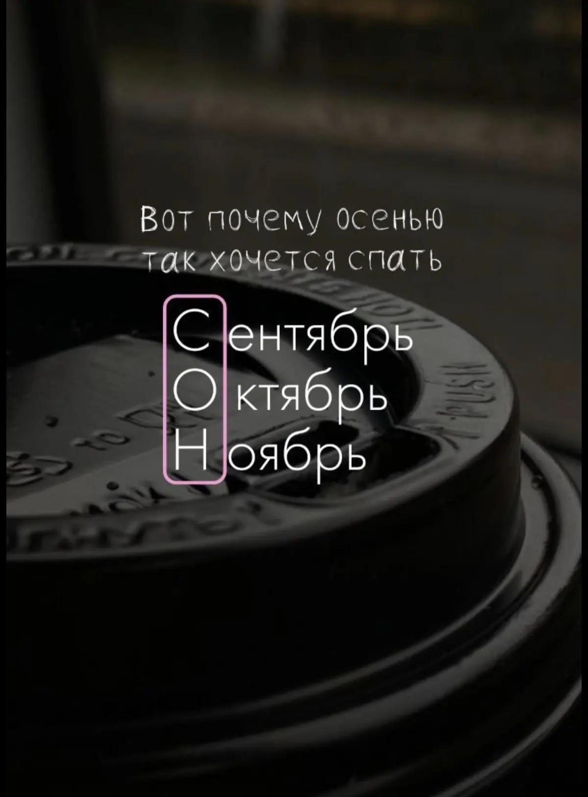 Мурмяу, дорогие!
