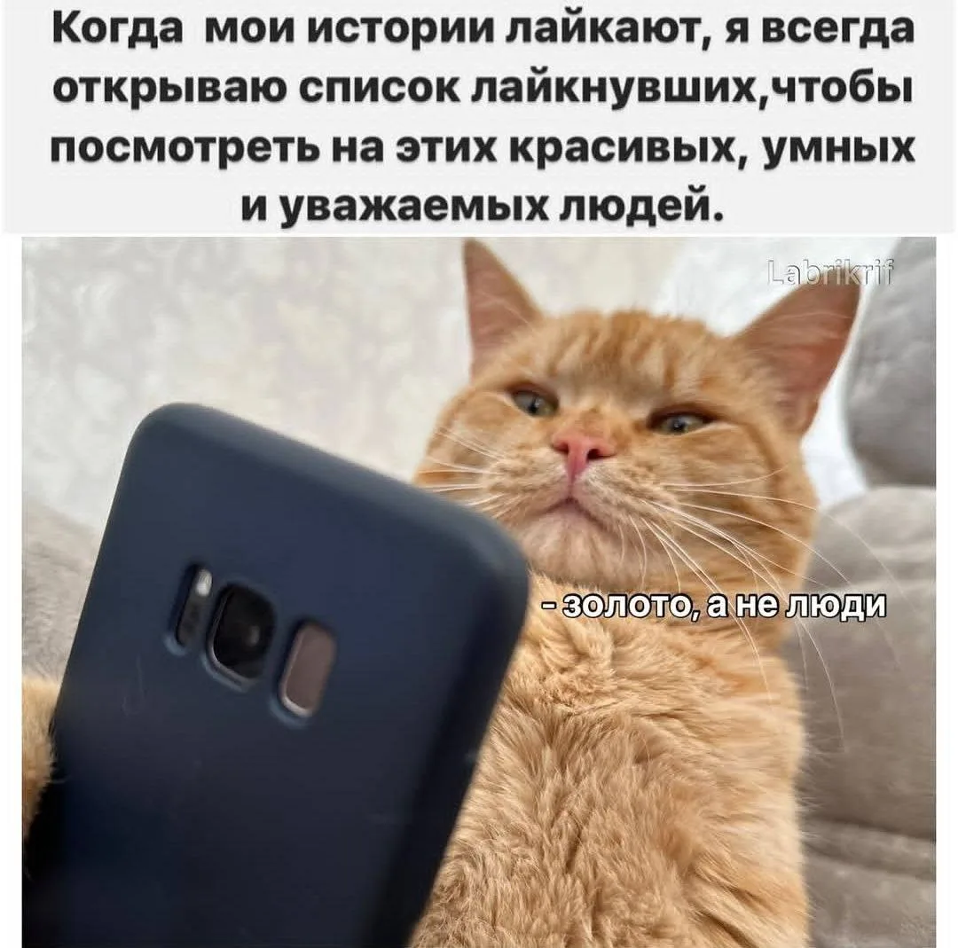 Друзья, важное дополнение к моему посту-знакомству! 👋