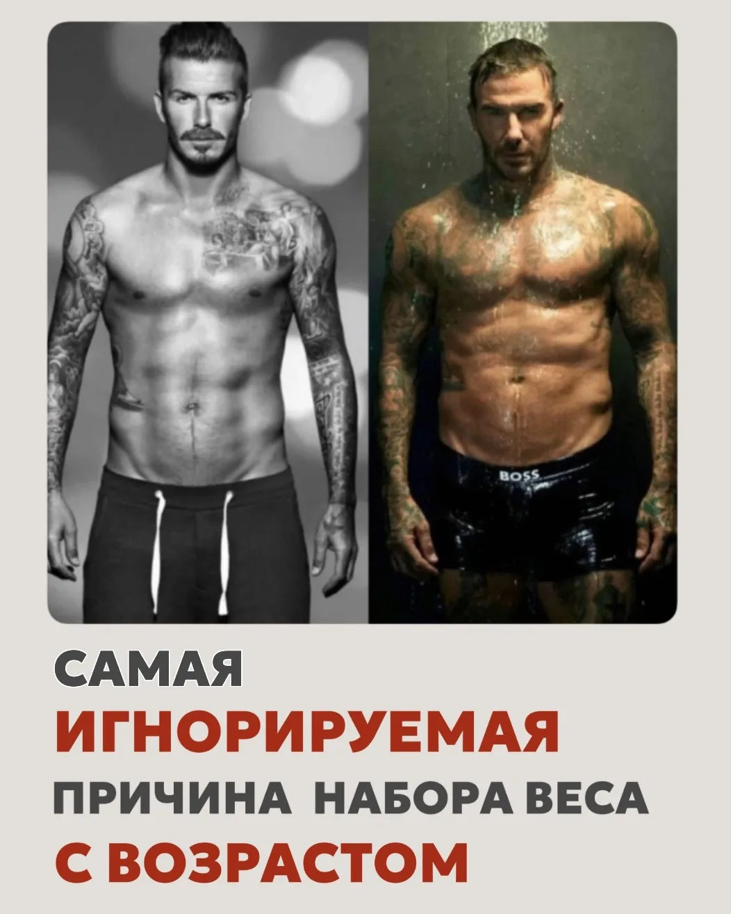 Друзья, сегодня познавательный пост) Посмотрите на фото в карусели этого поста➡️ и ясно...
