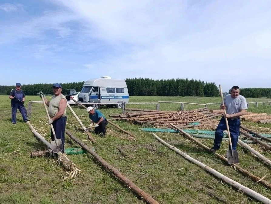 ✨Сотрудники ГБУ «Алькеевское районное государственное ветеринарное объединение» традици...