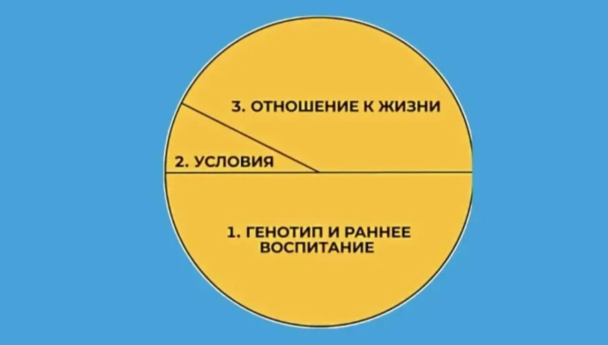 Смотрите запись онлайн-тренинга
