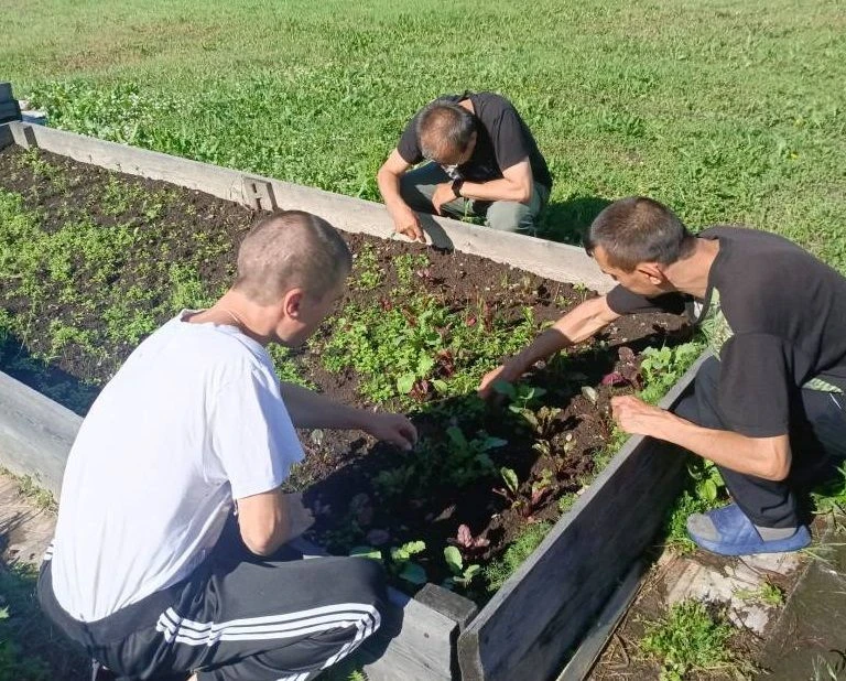 ☀️ Погода радует — значит, самое время для полезного дела!
Сегодня дружно пропололи грядки: каждый в