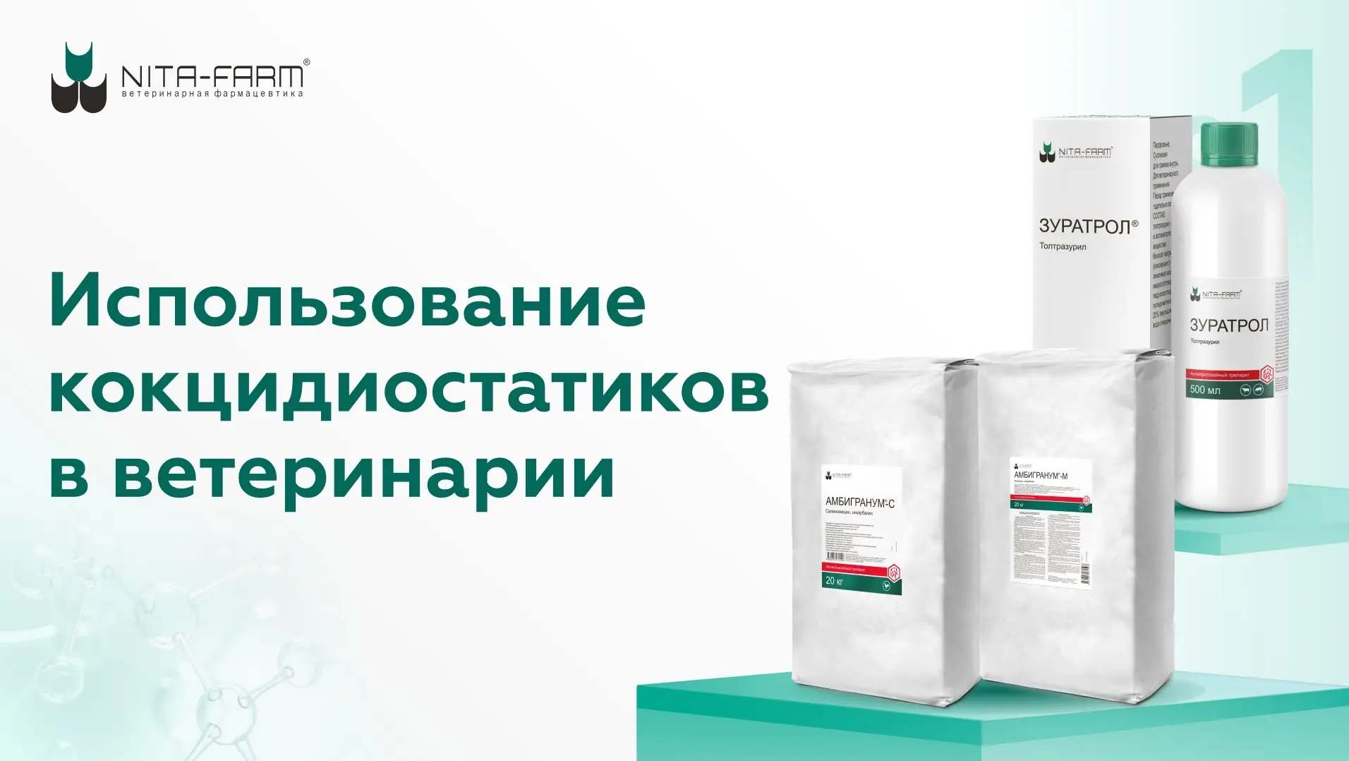 Кокцидиоз — паразитарное заболевание, вызываемое одноклеточными микроорганизмами (кокци...