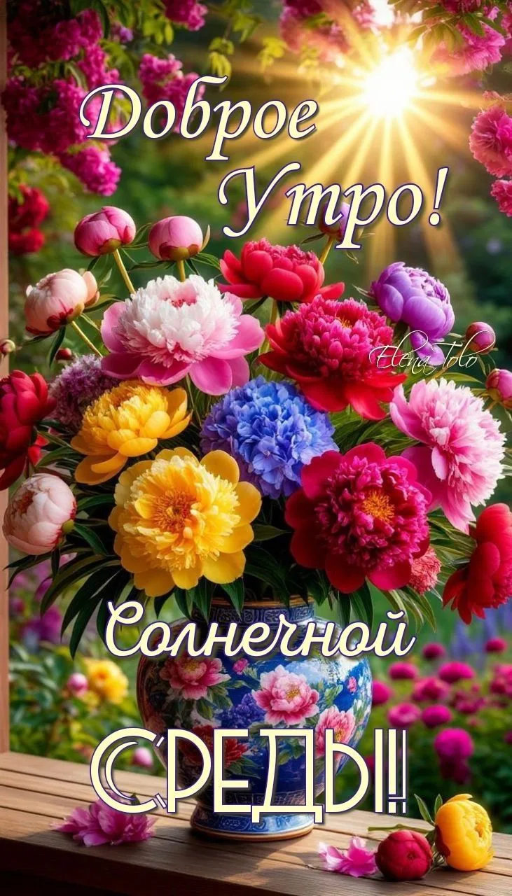 Доброе утро ☀️