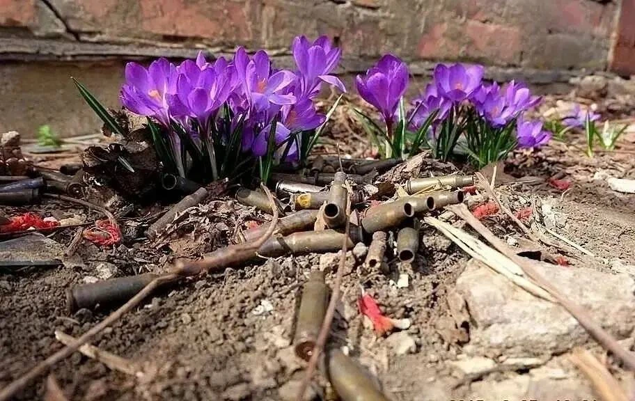 Красиво и жутко. 
Сфотографировал
