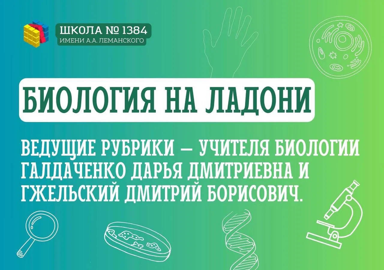 Летний дневник натуралиста

🌳 Представляем новый выпуск рубрики «Биология на ладони». Ведущие рубри