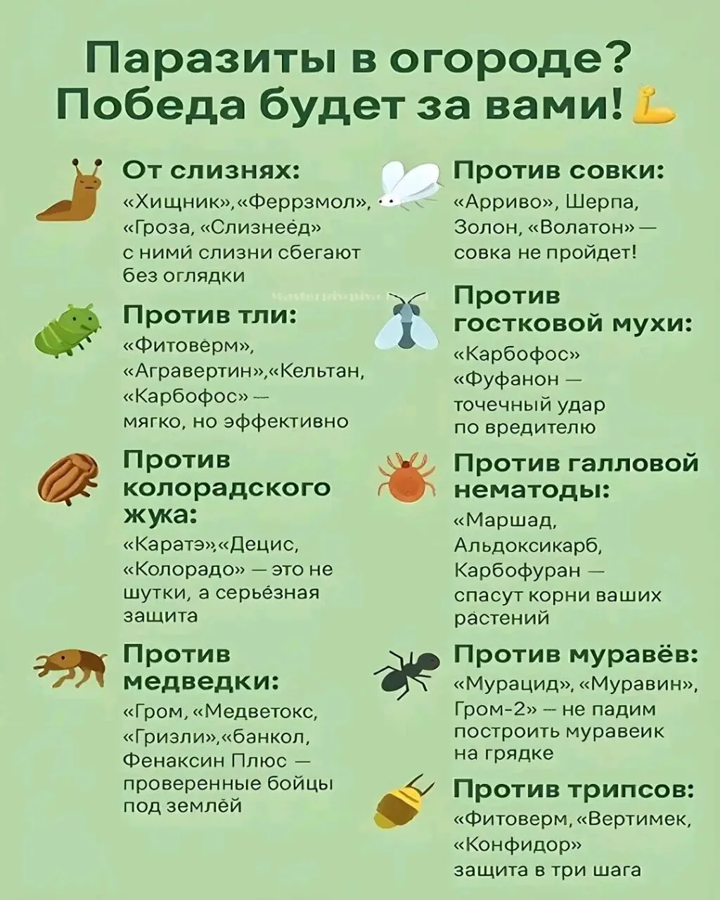 Паразиты в огороде?