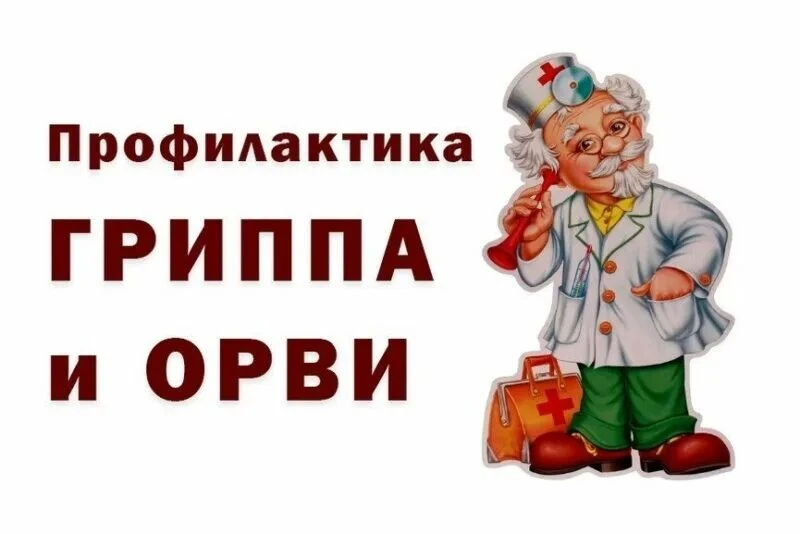 Осень и зима — время, когда вирусы становятся нашими незваными гостями. Чтобы не пропус...