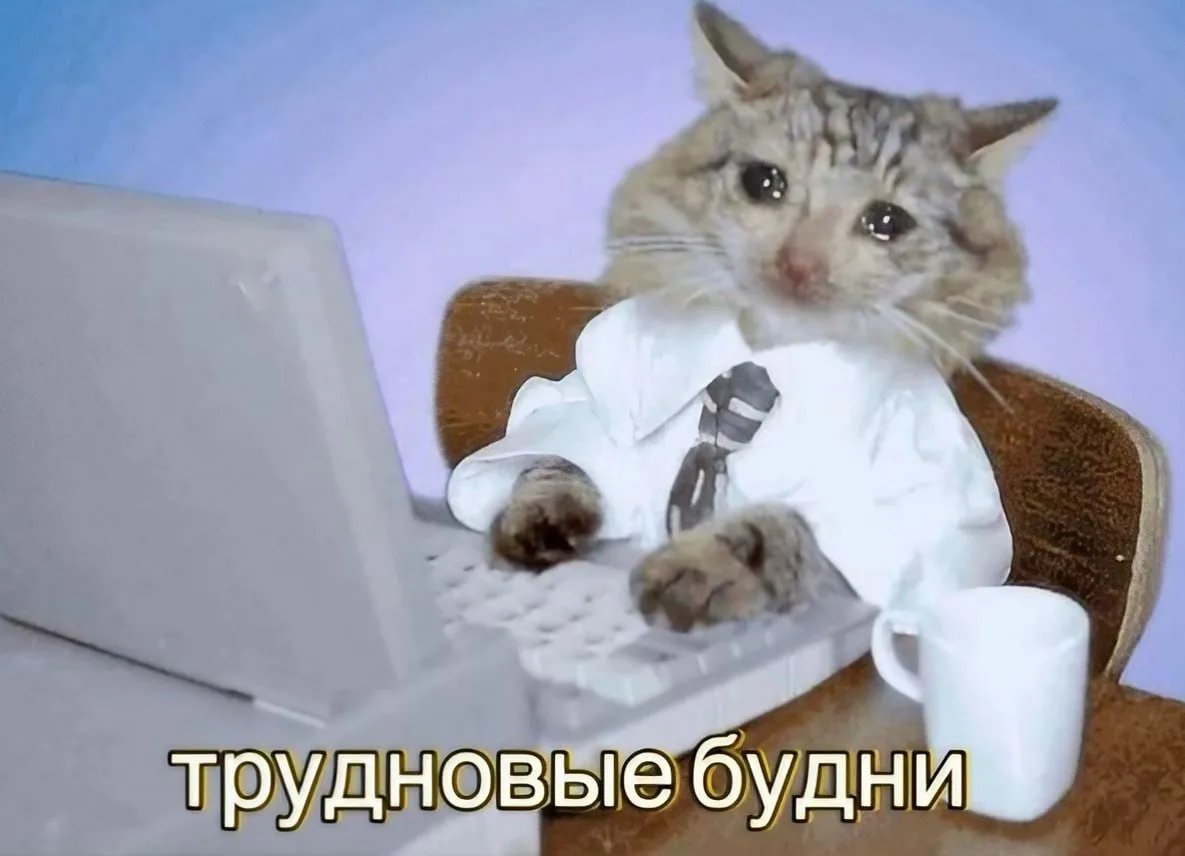 5 самопроверок, чтобы понять: вы всё ещё выбираете свою карьеру или уже едете по инерции