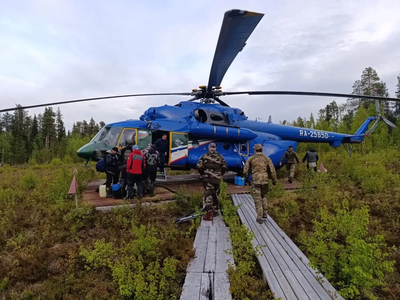 🌲 Природоохранный рейд в Апатитском и Терском муниципальных округах.