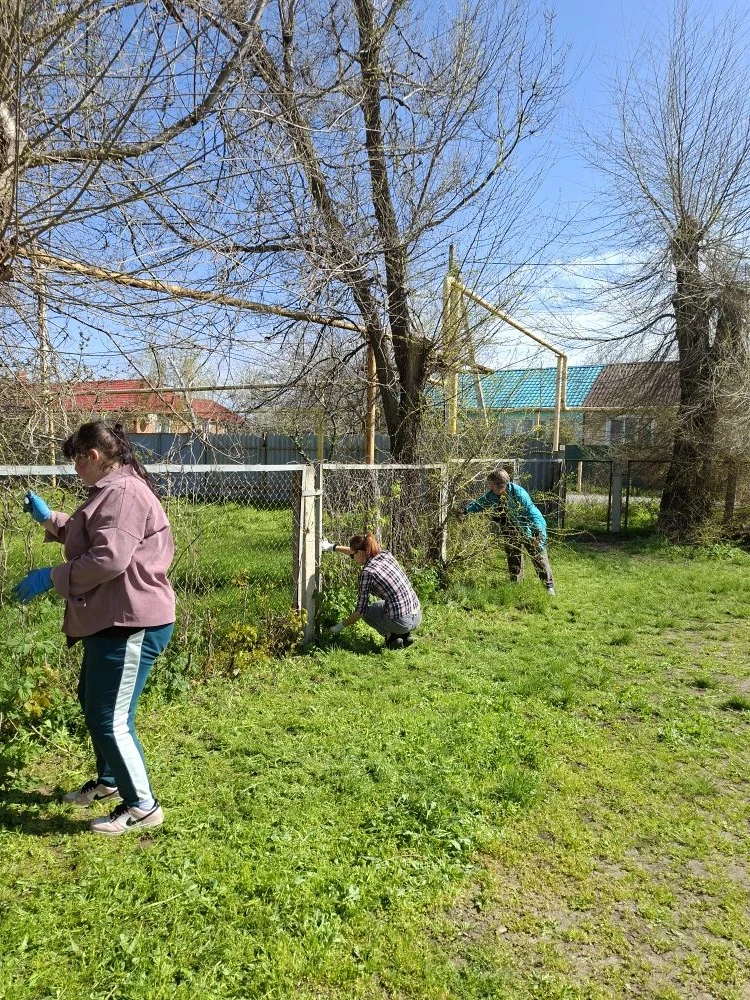 🌳«День древонасаждения» в детском саду.