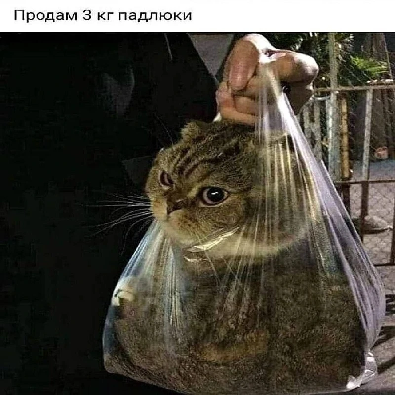 🤣🤣🤣