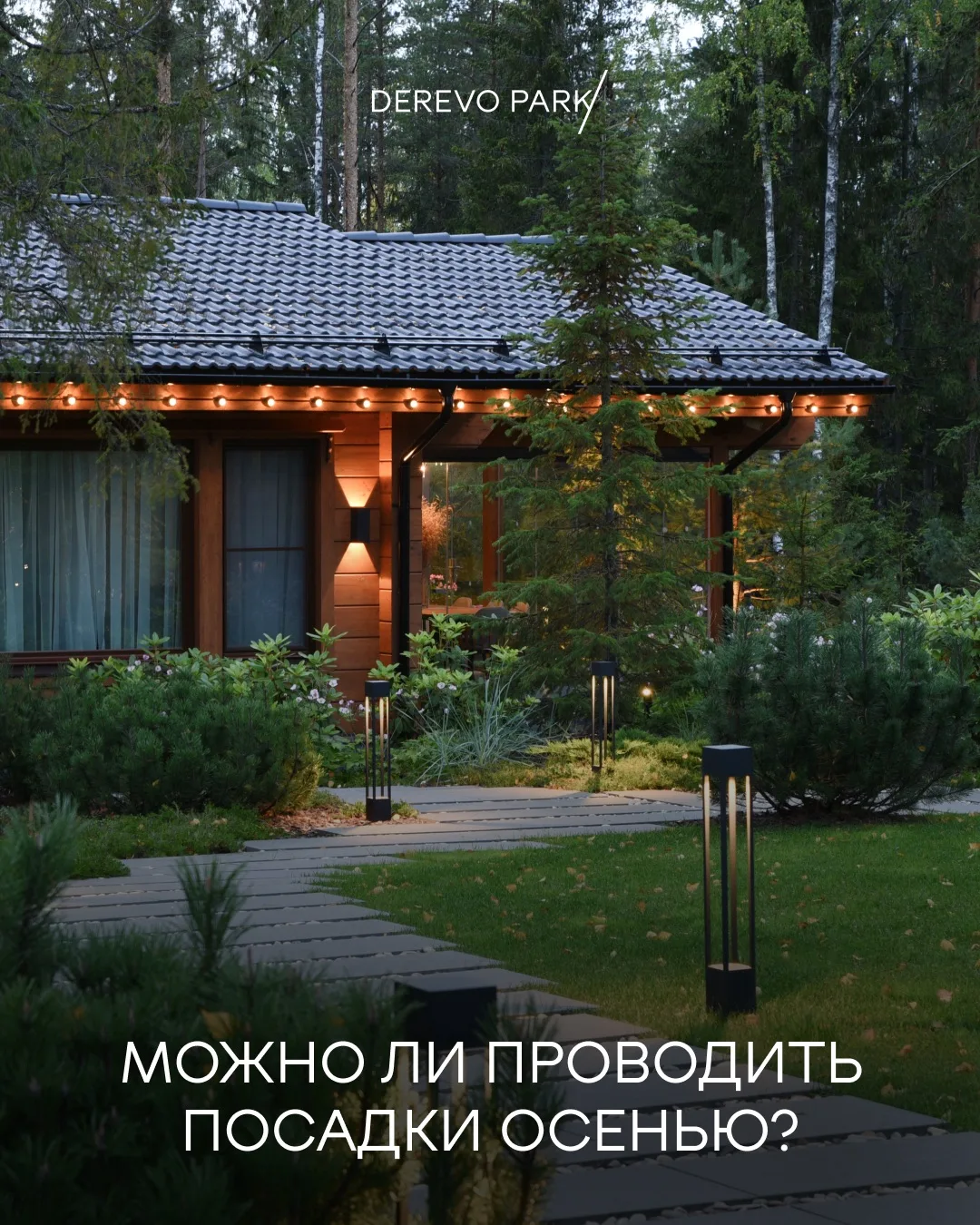 🍁Можно ли проводить посадки осенью?