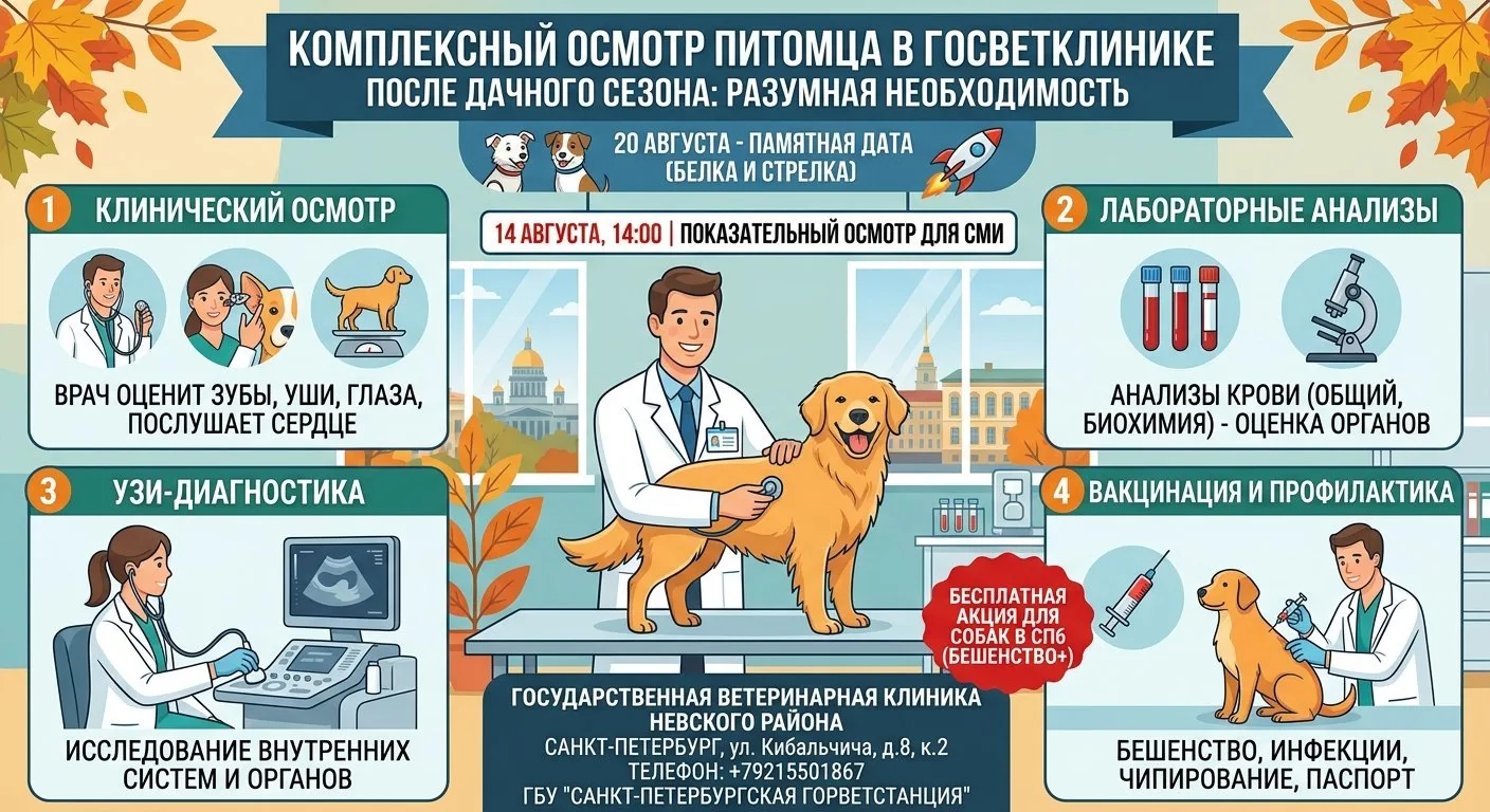 🕷️🏡 Комплексный осмотр питомца в государственной ветеринарной клинике после дачного с...