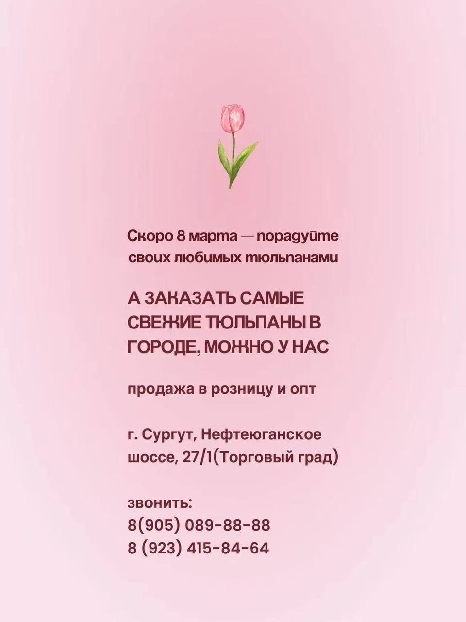 ТЮЛЬПАНЫ ОПТ-РОЗНИЦА ⁣⁣⠀ ⁣⁣⠀ 📍СУРГУТ/НИЖНЕВАРТОВСК⁣⁣⠀ ⁣⁣⠀ ⁣⁣⠀ > Тюльпаны премиум сортов⁣⁣⠀ > ОПТОВАЯ