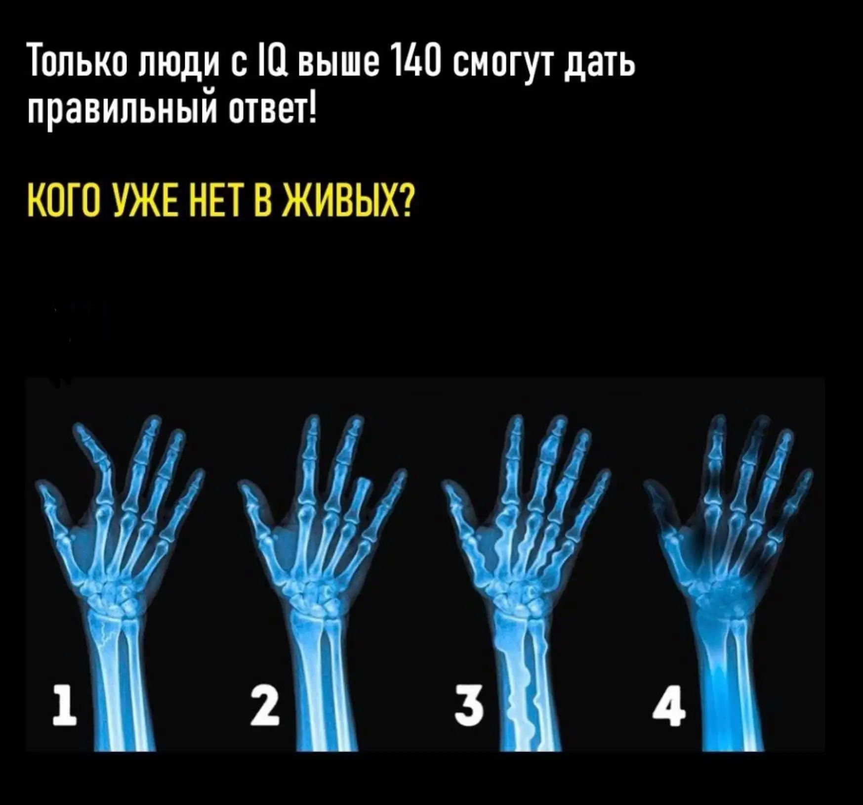 Обсудим в чате в MAX