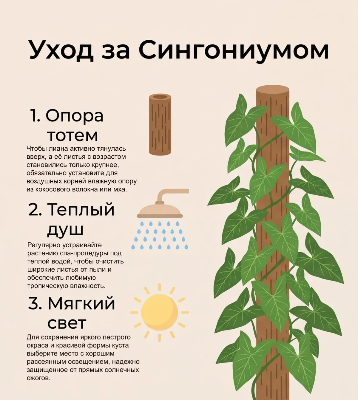 Уход за сингониумом 🪴

ПР | Про Растения