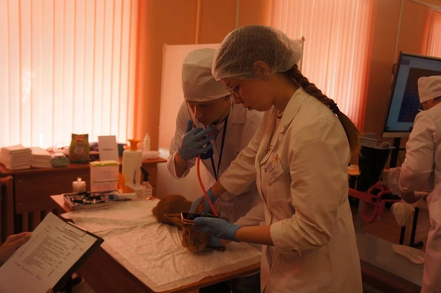 На базе сельскохозяйственного колледжа «Богородицкий» имени И.А. Стебута прошел региона...