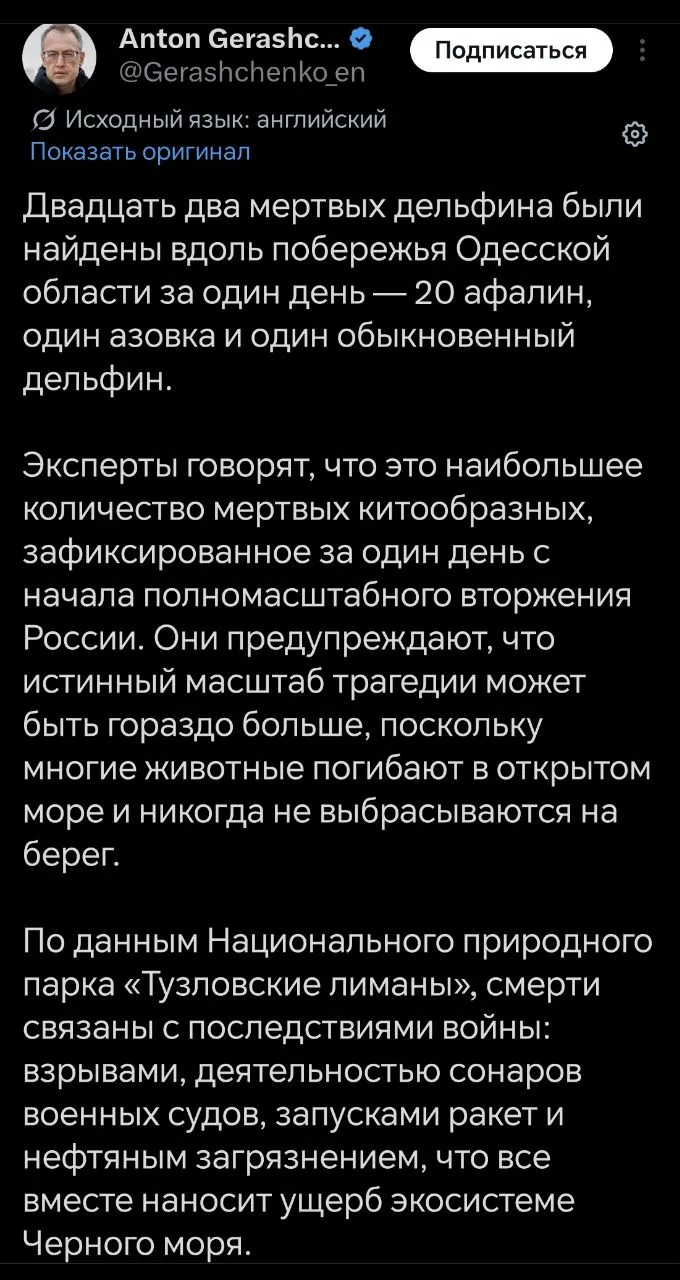 Очередной раз Украина пытается обвинить Россию в смерти дельфинов в Черном море

Бывший замминистра 