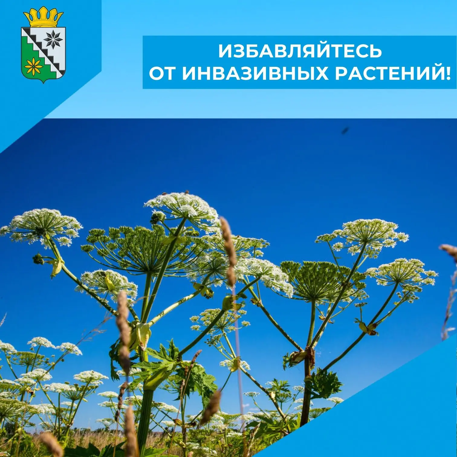 📢Жители Беловского муниципального округа, будьте внимательны!