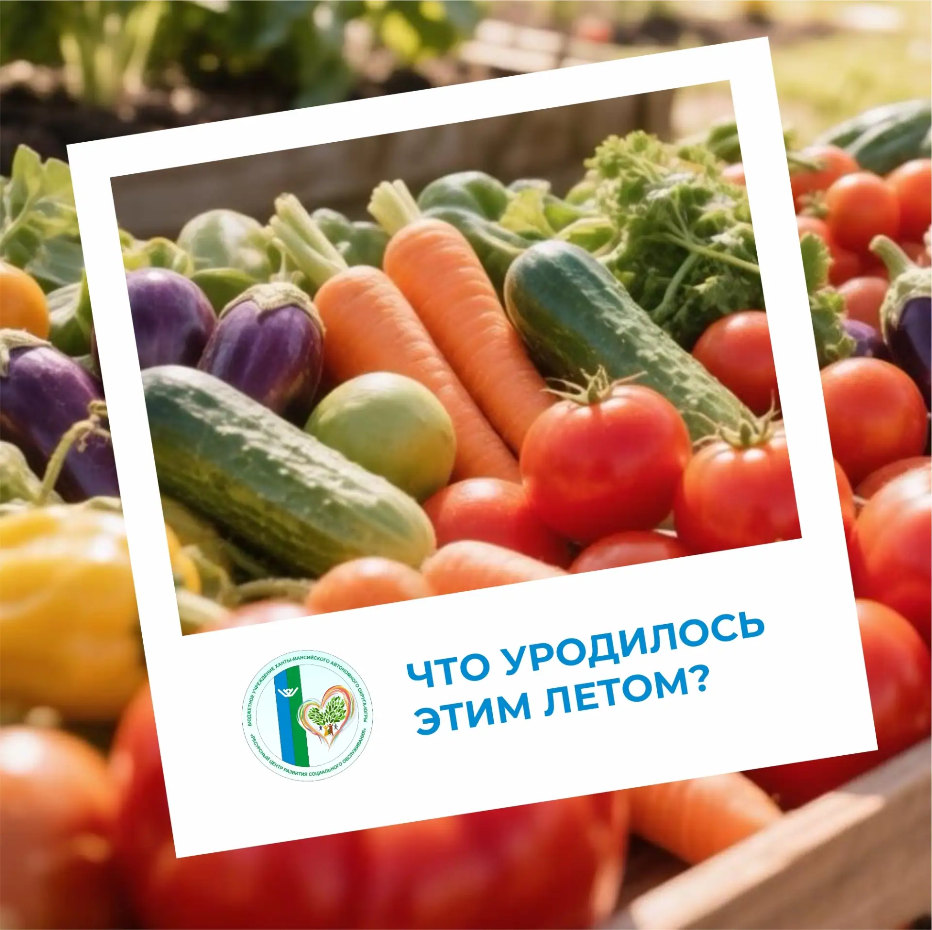 🥔 Конец августа – время собирать урожай