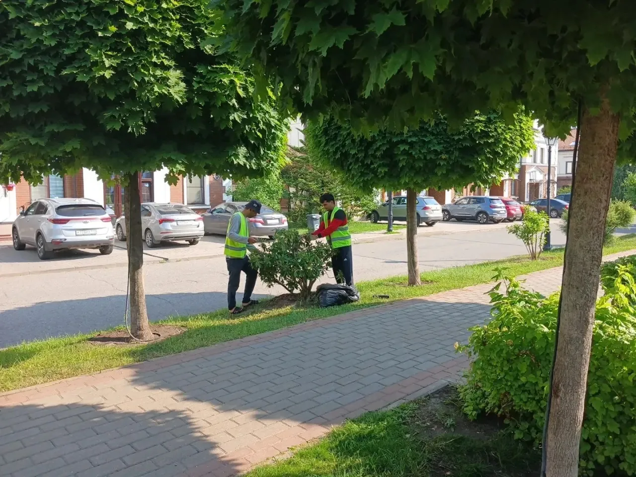 Уборка территории, срезаем высохшие соцветия на кустах