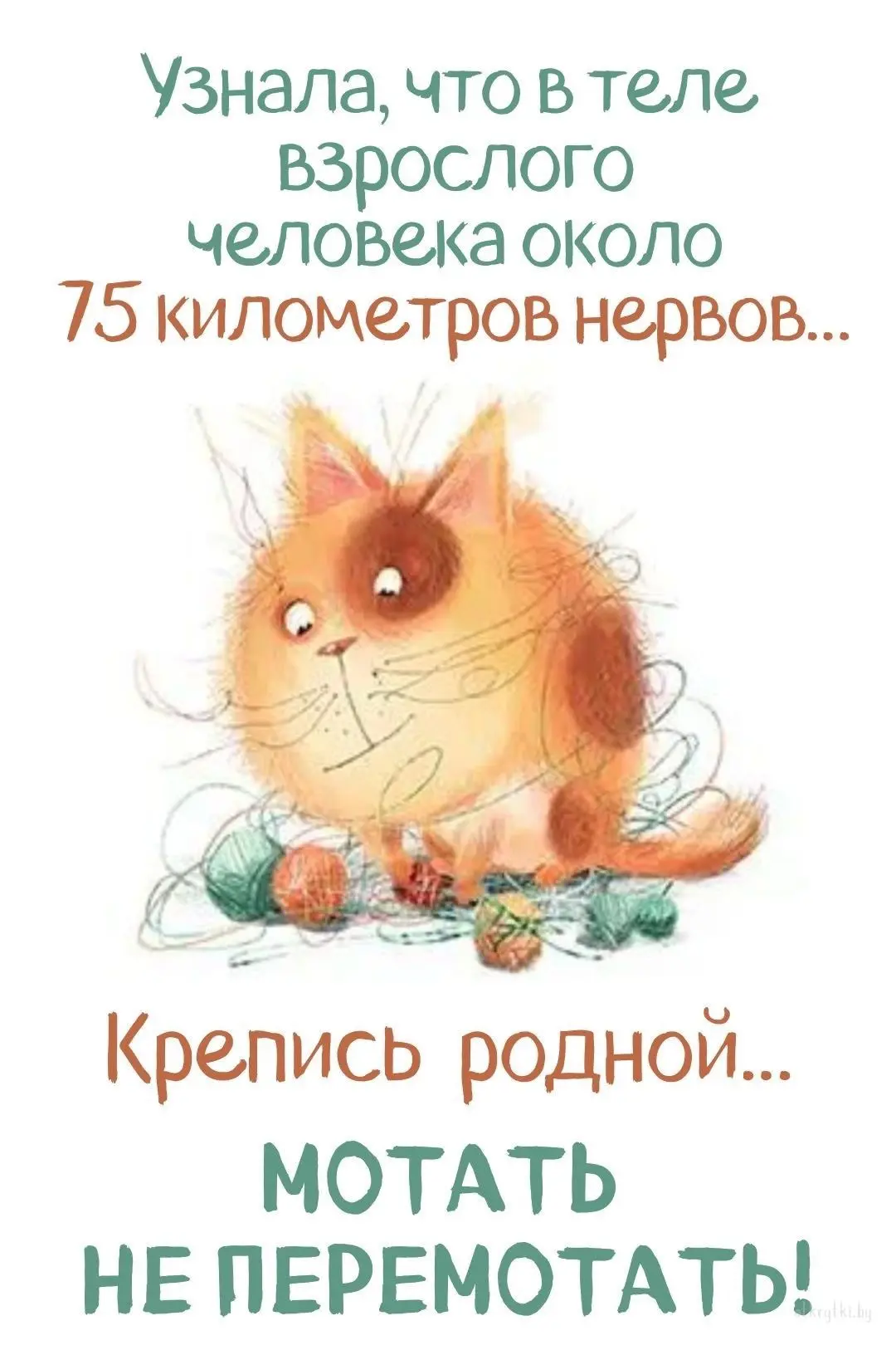 🥰Открытки и поздравления!