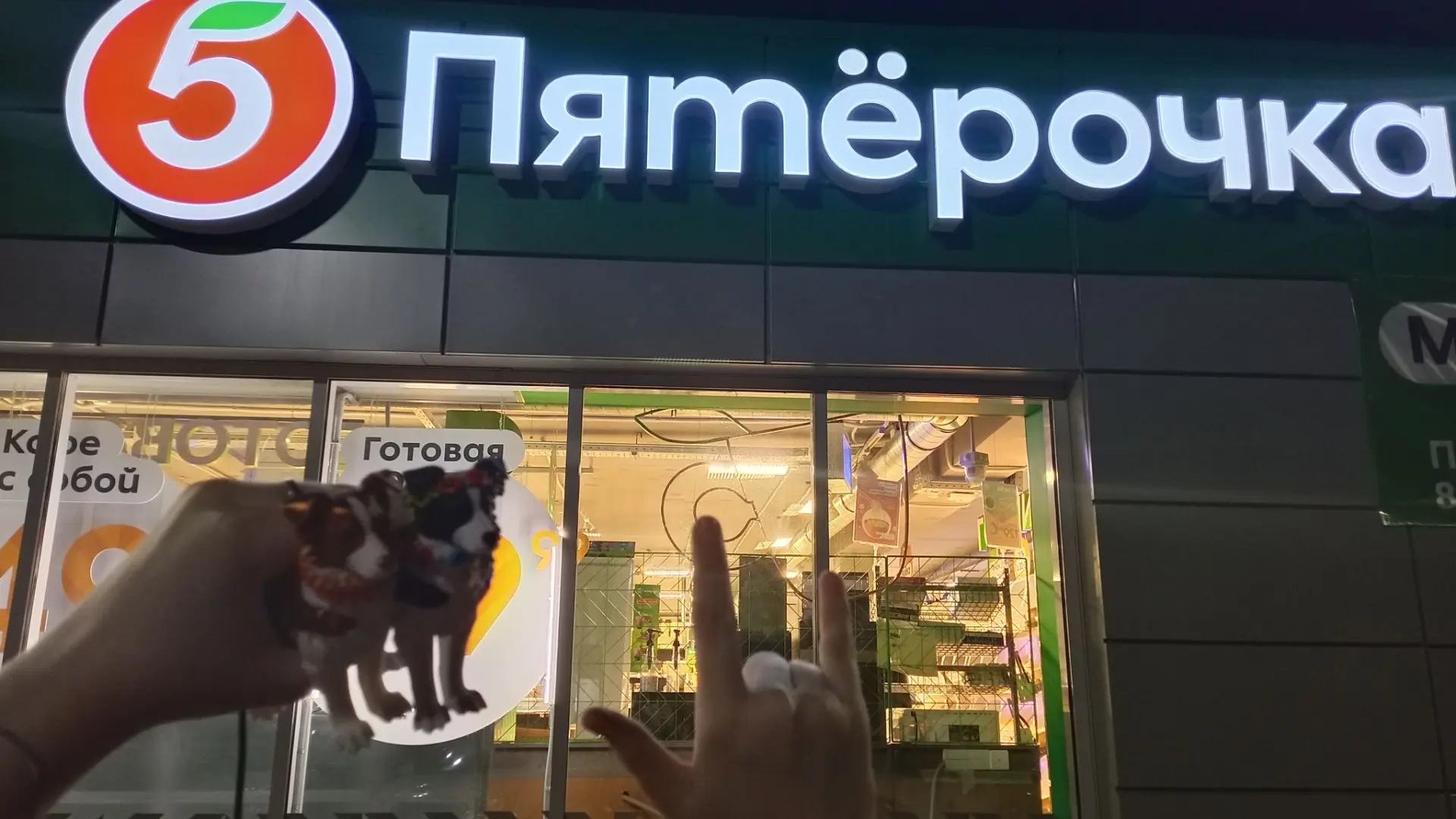 Ждете влог с Молли и Рафом?)