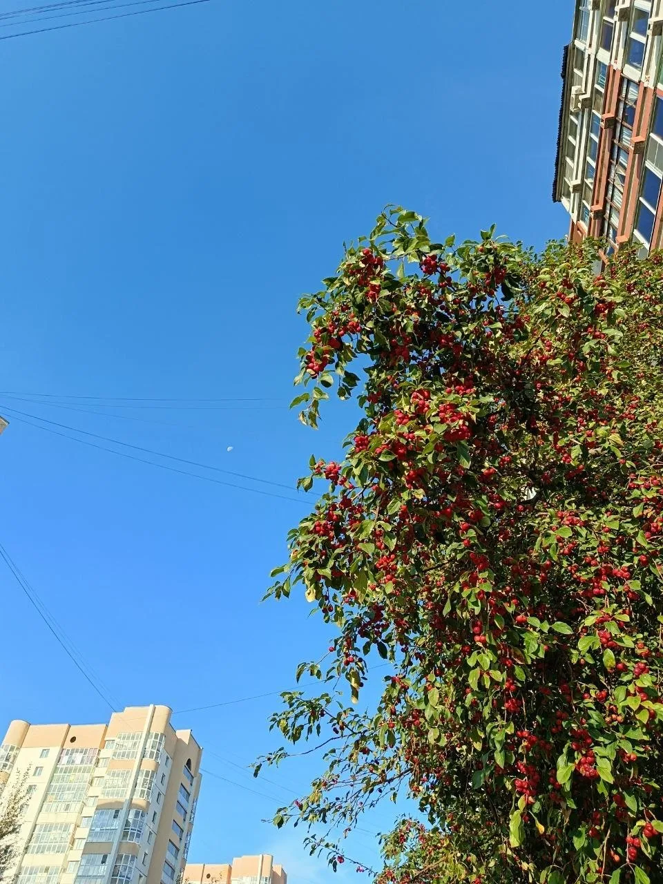 Доброй ночи, друзья!