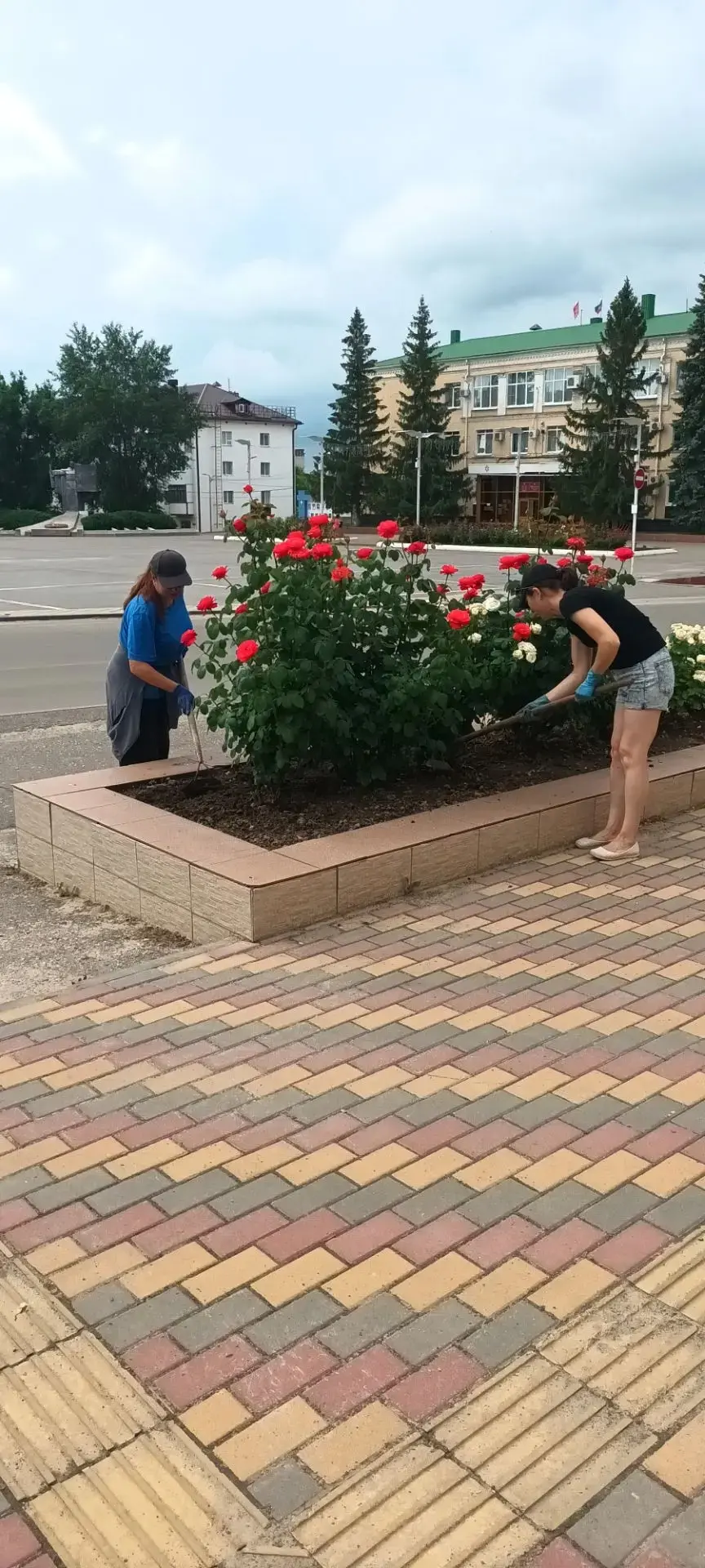 В Жирновске продолжаются плановые работы по благоустройству. МКУ «Благоустройство г. Жирновска» ведё