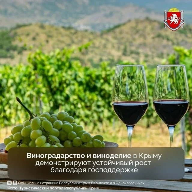 🍇 Виноградарство и виноделие в Крыму демонстрируют устойчивый рост благодаря господдержке