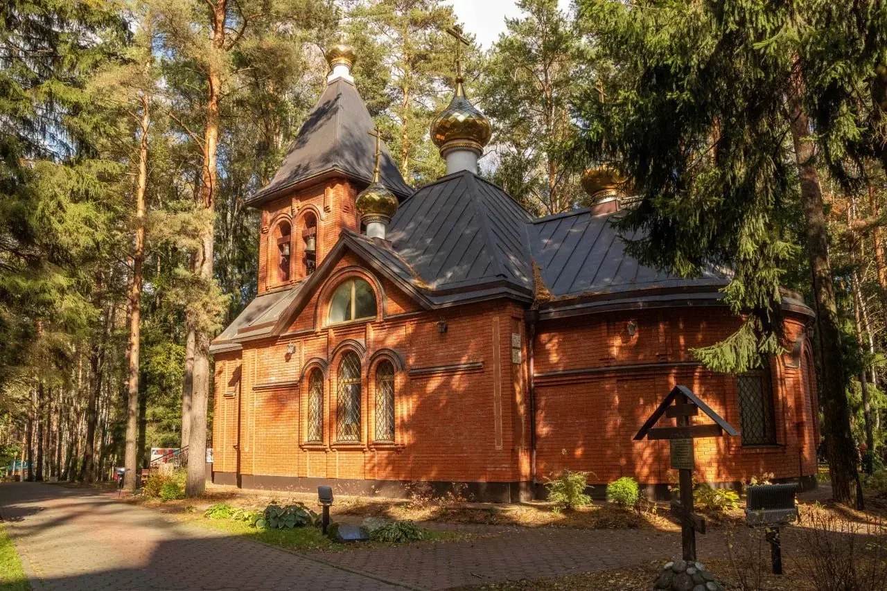 🍂 Готовимся к новому учебному году вместе! 📚✨