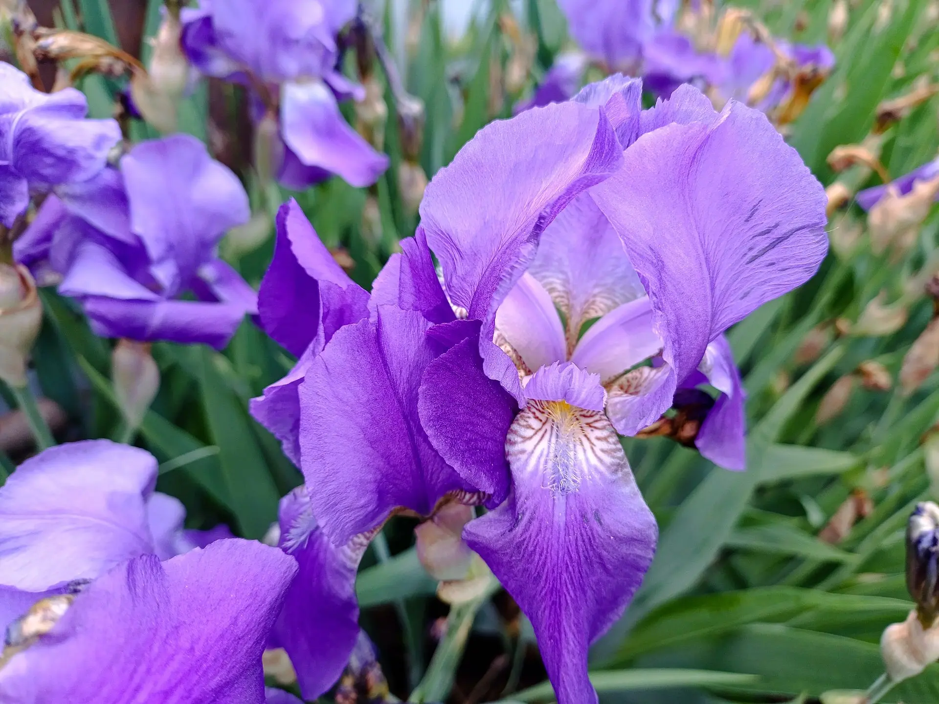 🌸 Доброе утро, Жигулёвск!  Сегодня — последний по-летнему жаркий день перед дождливой погодой, котор