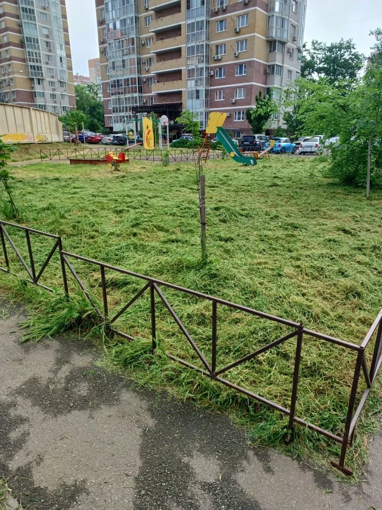 🌿 Благоустройство