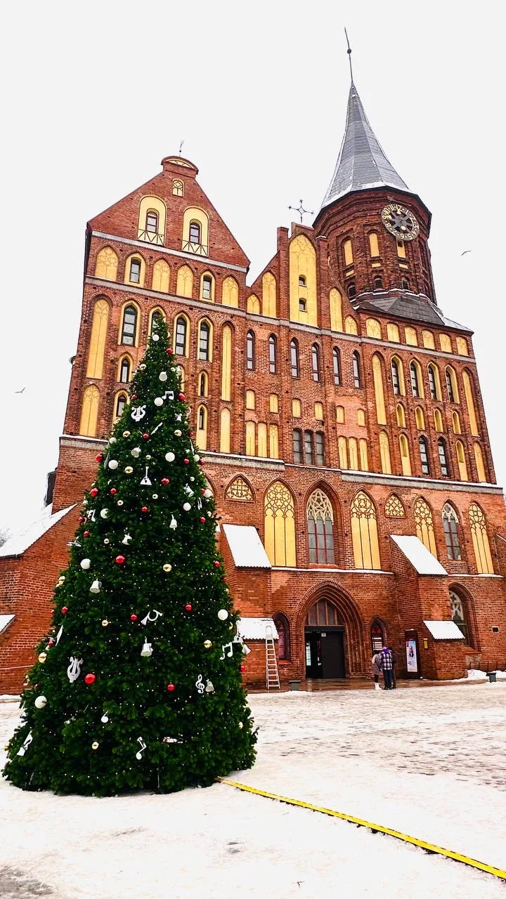 🎄Новогодний тур в Калининград