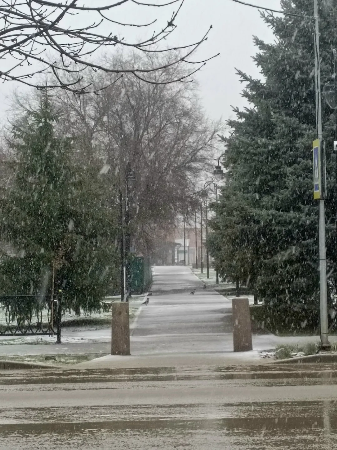 Присылайте Ваши фото в "Предложить пост"